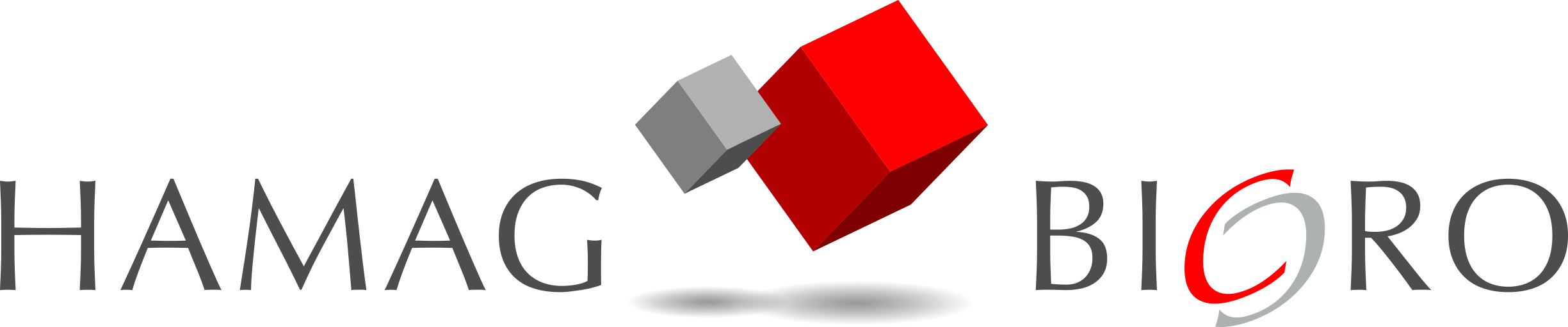 HAMAG-Bicro-logo-CMYK